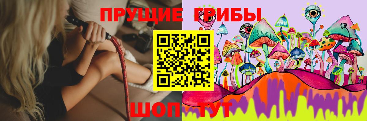 Псилоцибиновые грибы Psilocybe Россошь