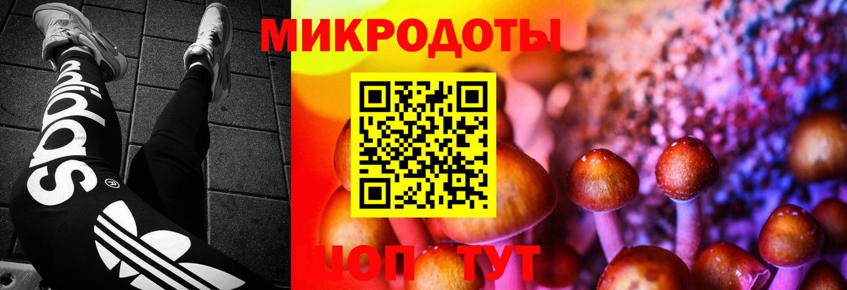 Галлюциногенные грибы GOLDEN TEACHER  Галлюциногенные грибы мухоморы  Россошь  Вход с VPN 